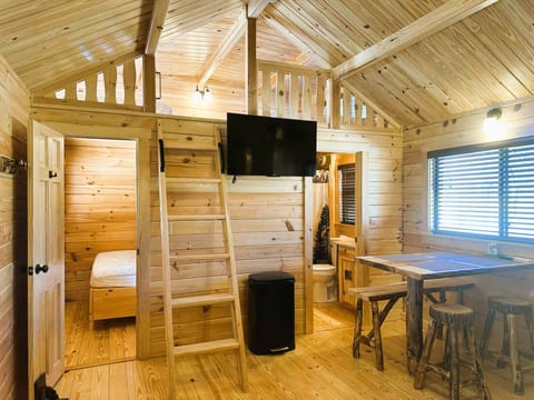 Buck Hill Tiny Home Cabin #2 Mountain & Pond Views