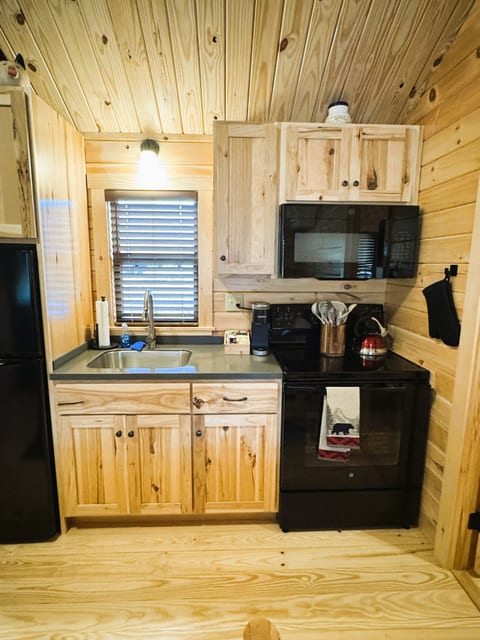 Buck Hill Tiny Home Cabin #2 Mountain & Pond Views