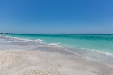 DazeOffAMI - Gulf & Bay Views, Walk to Bridge St!