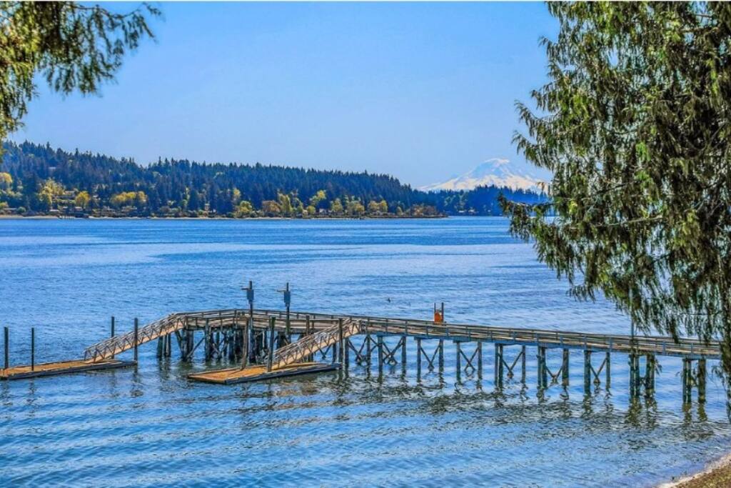 stunning-views!-pvt-beach+hottub+kayak+-mt-rainier/