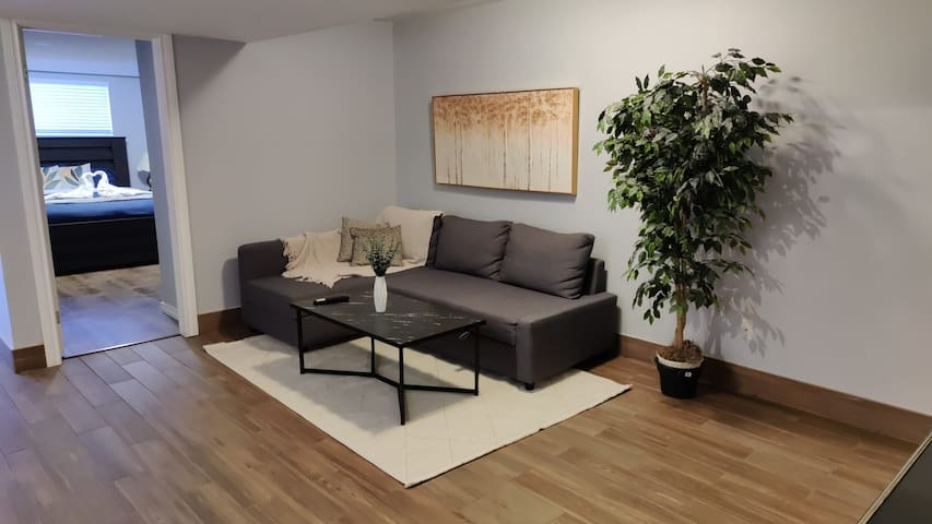 cozy-private-queen-suite/