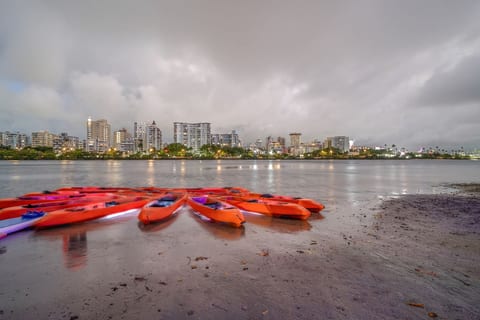 Condado Penthouse