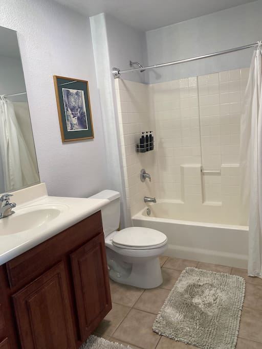 Master Bathroom shower and Toilet.