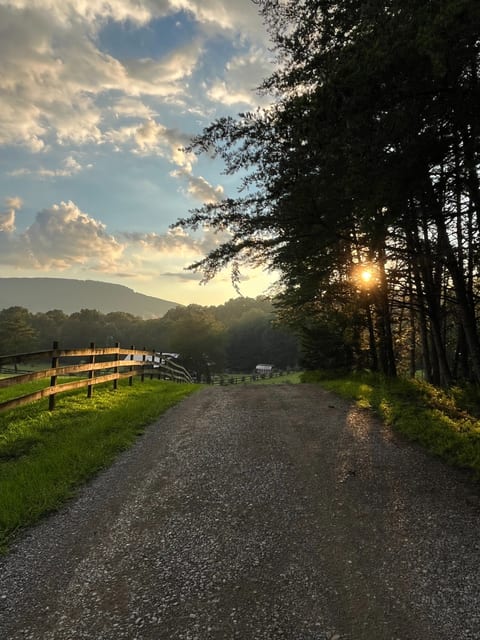 Sunset photo taken from the end of our driveway.