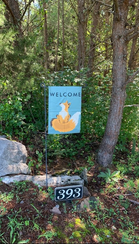 Look for this flag at the end of our driveway.