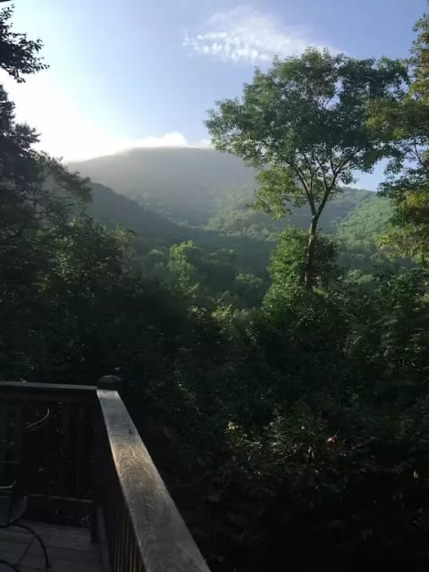 Good Morning from the Deck