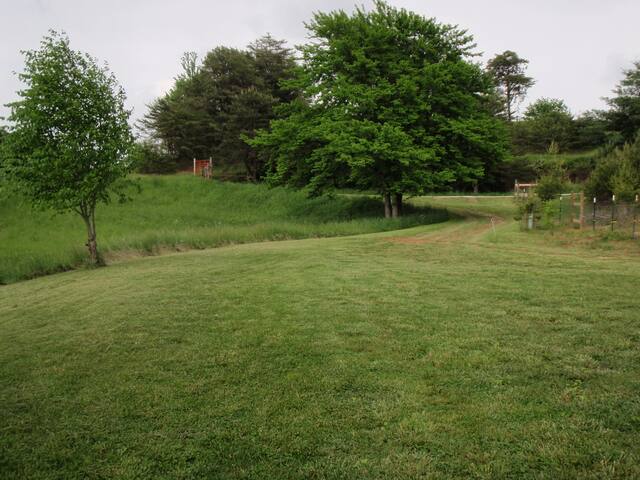 Climb On Inn ~APT 1- Explore Comfort & Nature -RRG