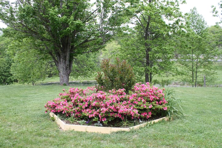 Climb On Inn- RRG-3 BR & 2 BA- Outdoor Paradise