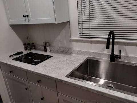 Reno Art Deco Retreat: Fireplace, WiFi, Queen Bed