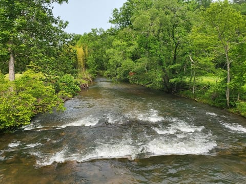 Access the Toccoa river from the community area by bridge