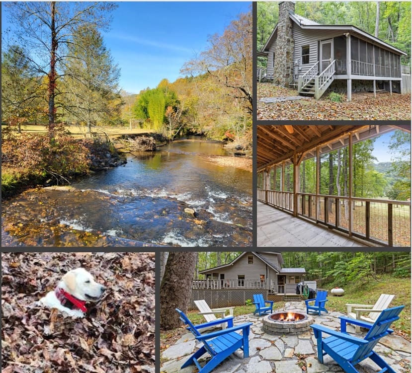 Toccoa Currents: Fish Head Lodge - Suches