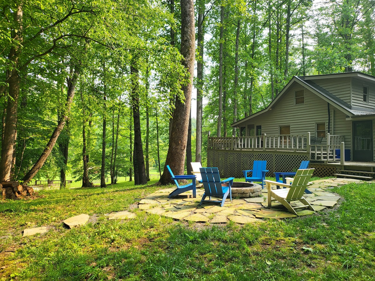 Firepit, deck, propane grill, charcoal grill, and dog/people washing