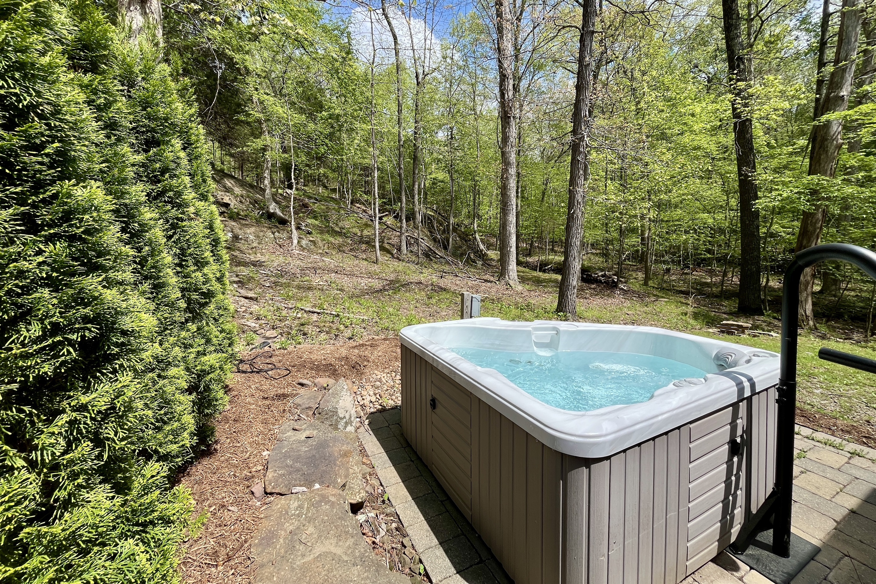 Hot tub overlooking woods and wildlife
