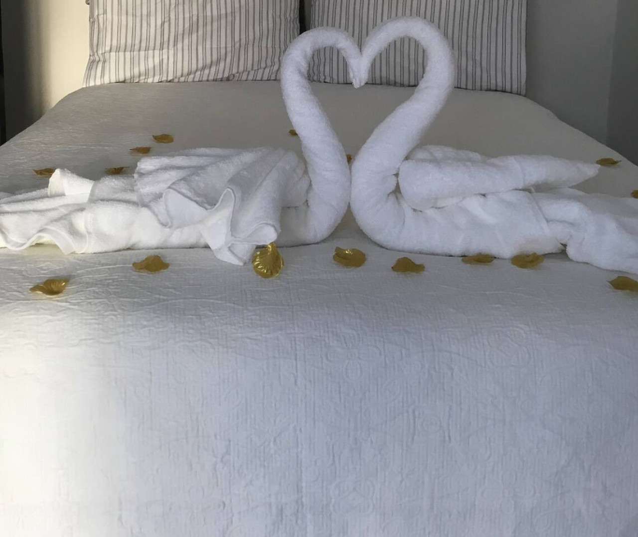 it's-stunning-condo-wbreakfast-and-fastest-wifi/