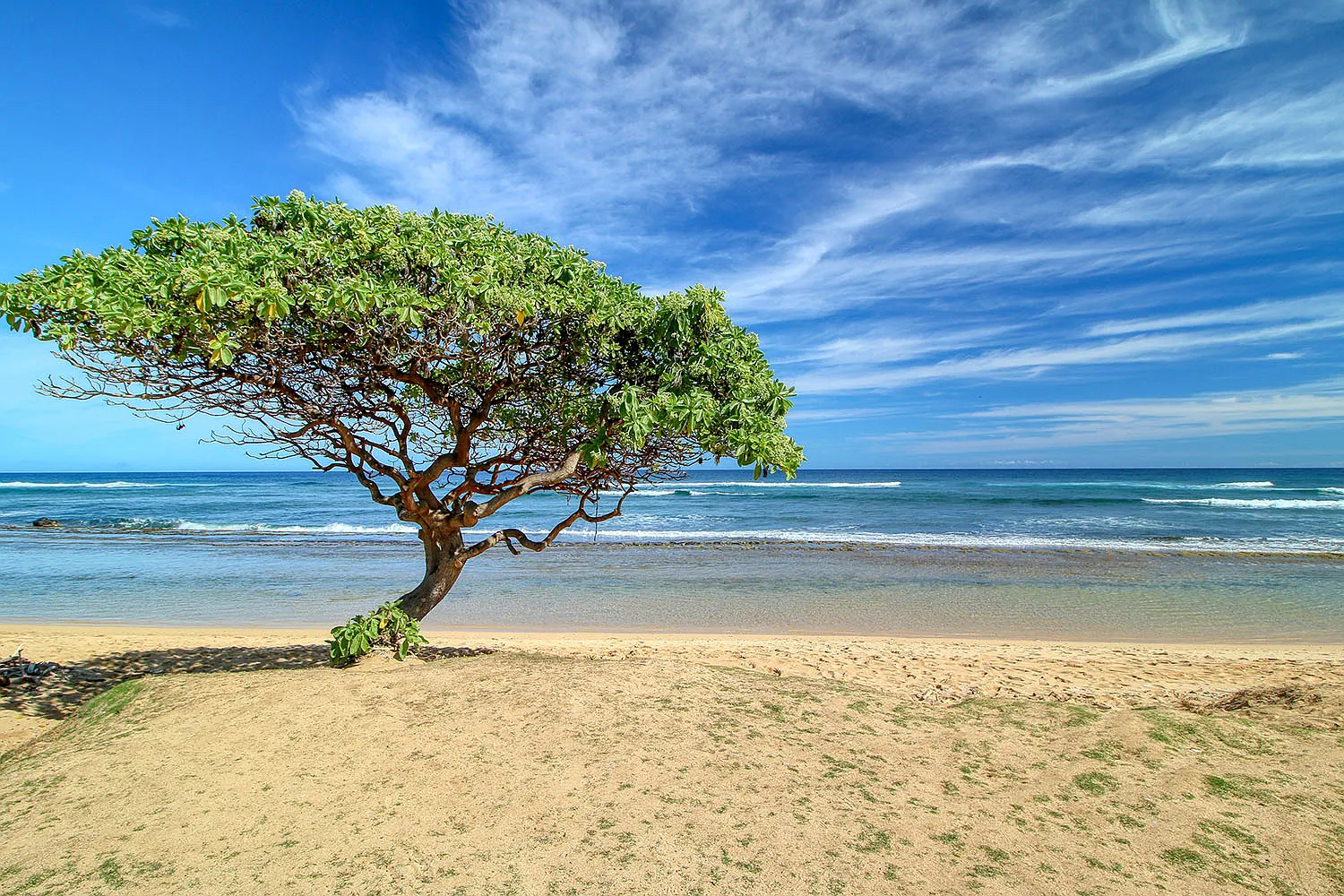 kauai-garden-view-room-4-star-beachfront-resort/