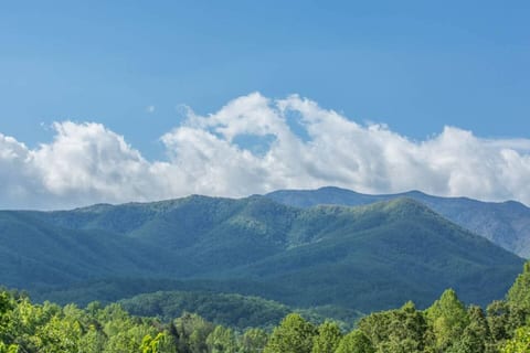 Leconte View, Genuine Log Cabin, Hot Tub, Fire Pit
