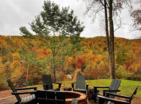 CAPER Cabin- Hike State Park from cabin, HOT TUB!