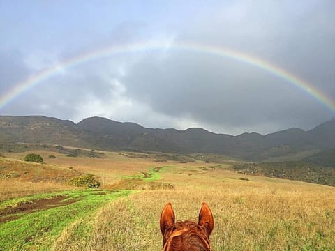 This property overlooks Serrano Valley, one of the most beautiful old cattle ranches that reaches the ocean. If you like to hike, ask us for a map! and yes, you will see people riding horses there.