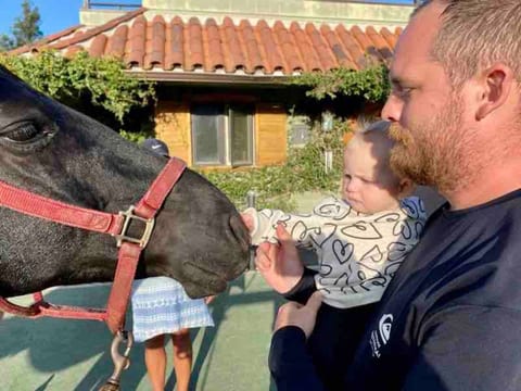 What happens when you stay next to a working horse ranch? Lots of horse-n-around!