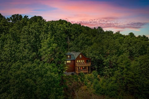 The Valley Roost