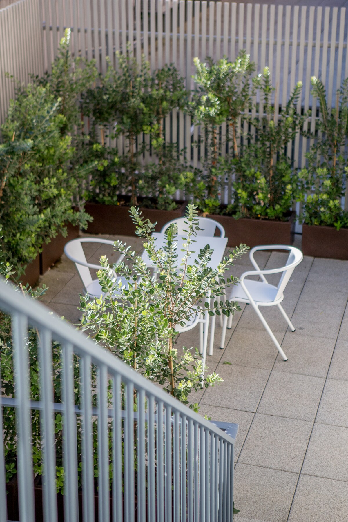 almada-151-2t-terrace-light-porto-center/