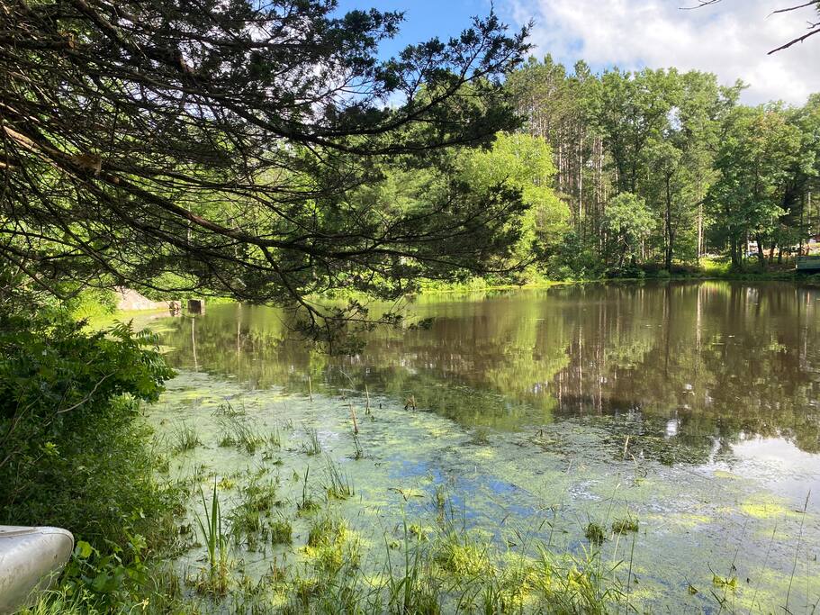 New Listing 2BR/2BA on Trout Lake HotTub & Firepit - Wisconsin Dells New Listing 2BR/2BA on Trout Lake HotTub & Firepit - Wisconsin Dells