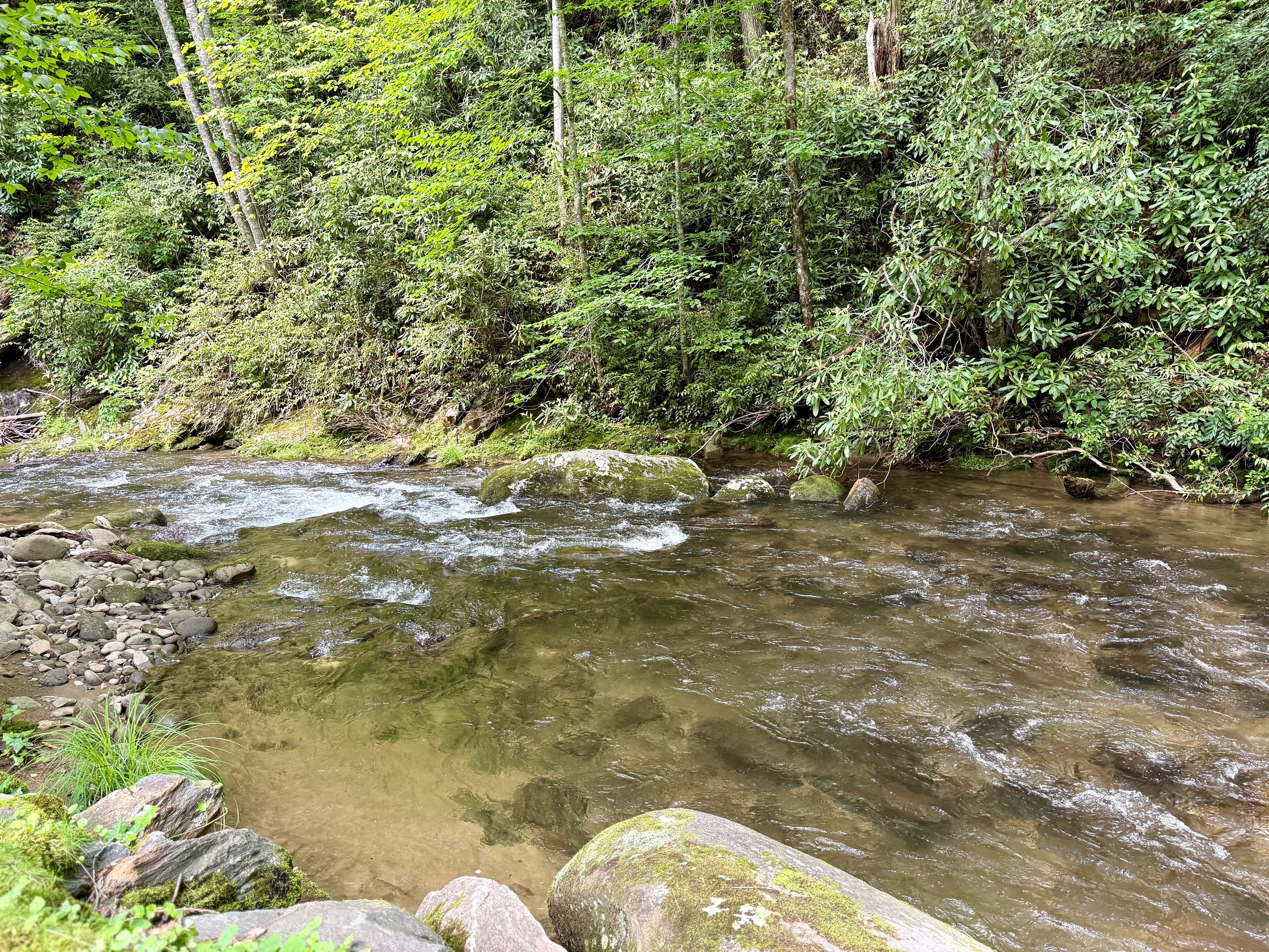 West Buffalo Creek, just steps from the cabin. West Buffalo Creek, just steps from the cabin. - Buffalo Creek Log Cabin - Robbinsville