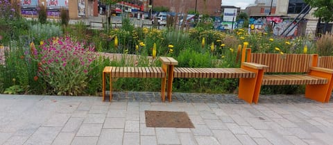 Park view