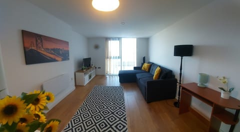 Open plan living + dining area. Sofa / sofabed, TV, computer desk.