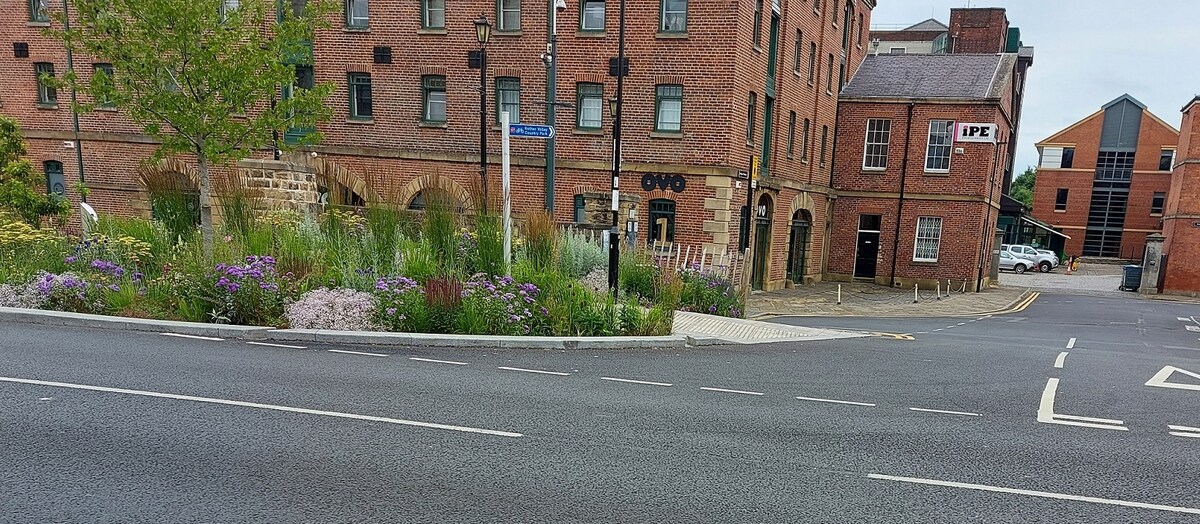 Neighbourhood -nearby park, Grey to Green planting.