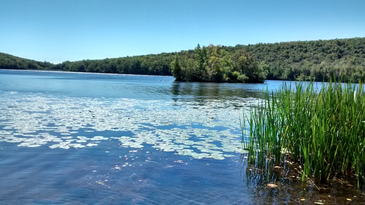 3 mins to Big Boulder Lake, FREE Beach Club passes