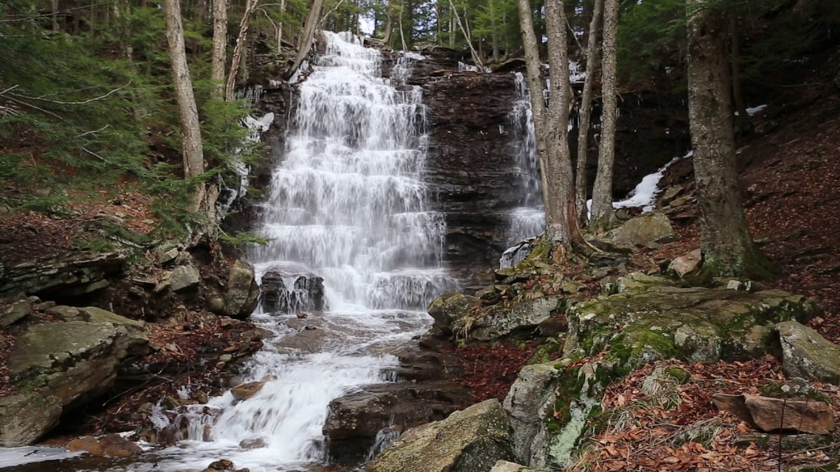 3 mins to Big Boulder Lake, FREE Beach Club passes - Lake Harmony