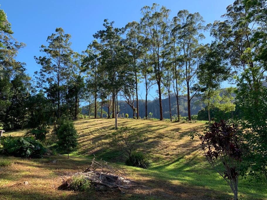 Another angle of the escarpment 