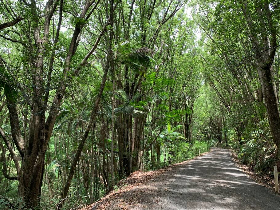 There are two separate 1km sections of unsealed road like this that you travel on in the last 5 minutes before you get to the house. 