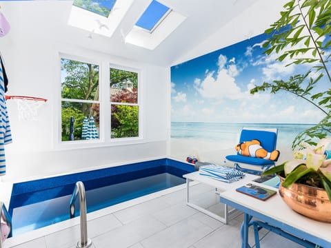 Indoor Swim Spa