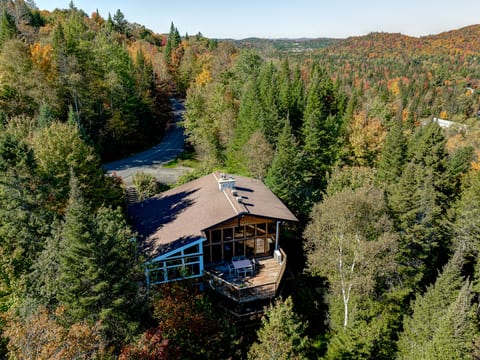 Authentic Swiss Chalet - 4BR with private SPA and Pool table