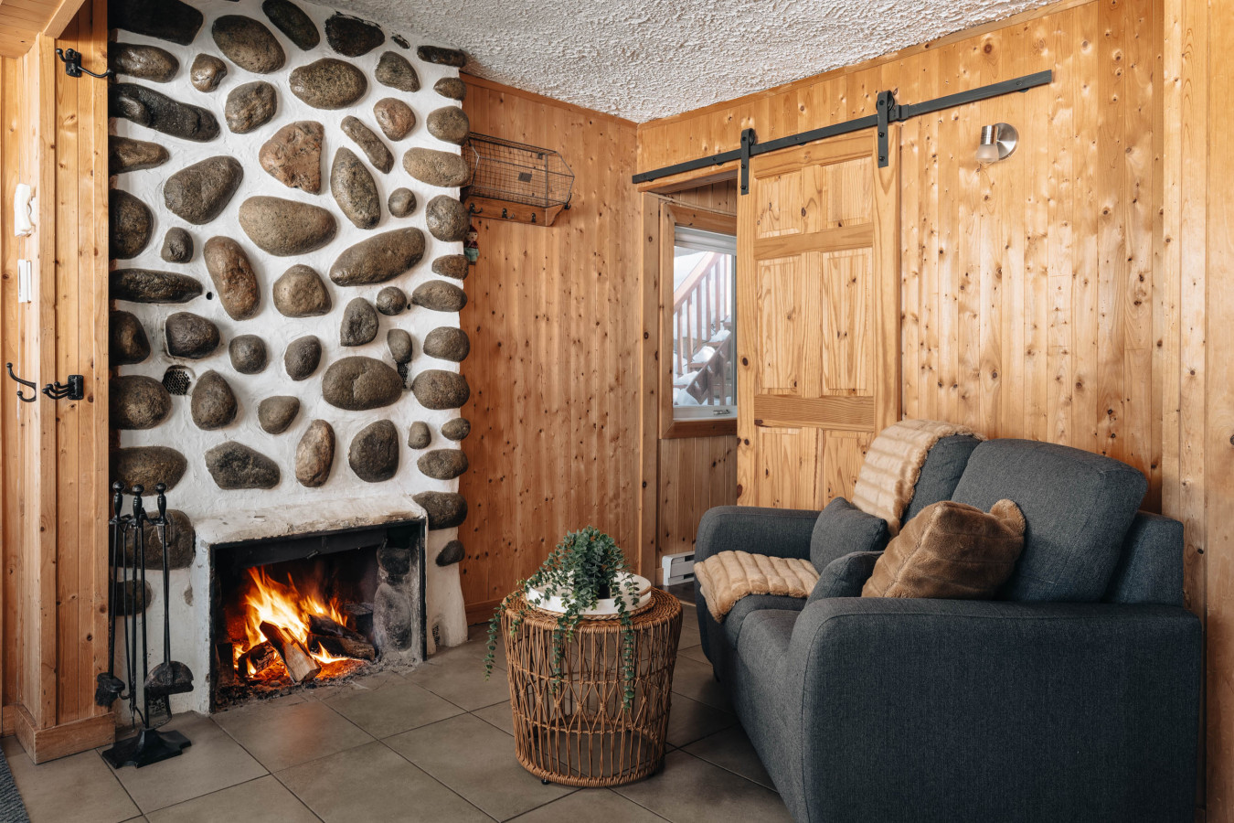 cottage-on-sarrazin-lake-panorama-du-lac/