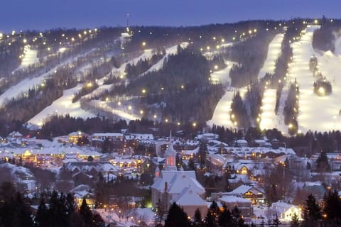 2 bedrooms suite with direct SKI access