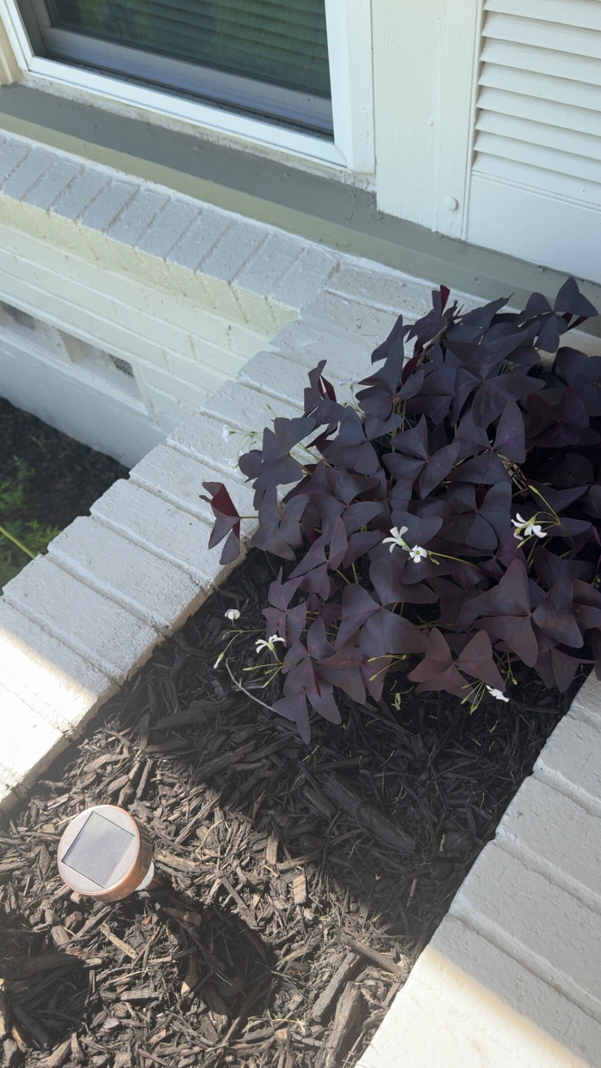 FTW  Home Remote WorkPlace Long Term Mhly Discount image 68