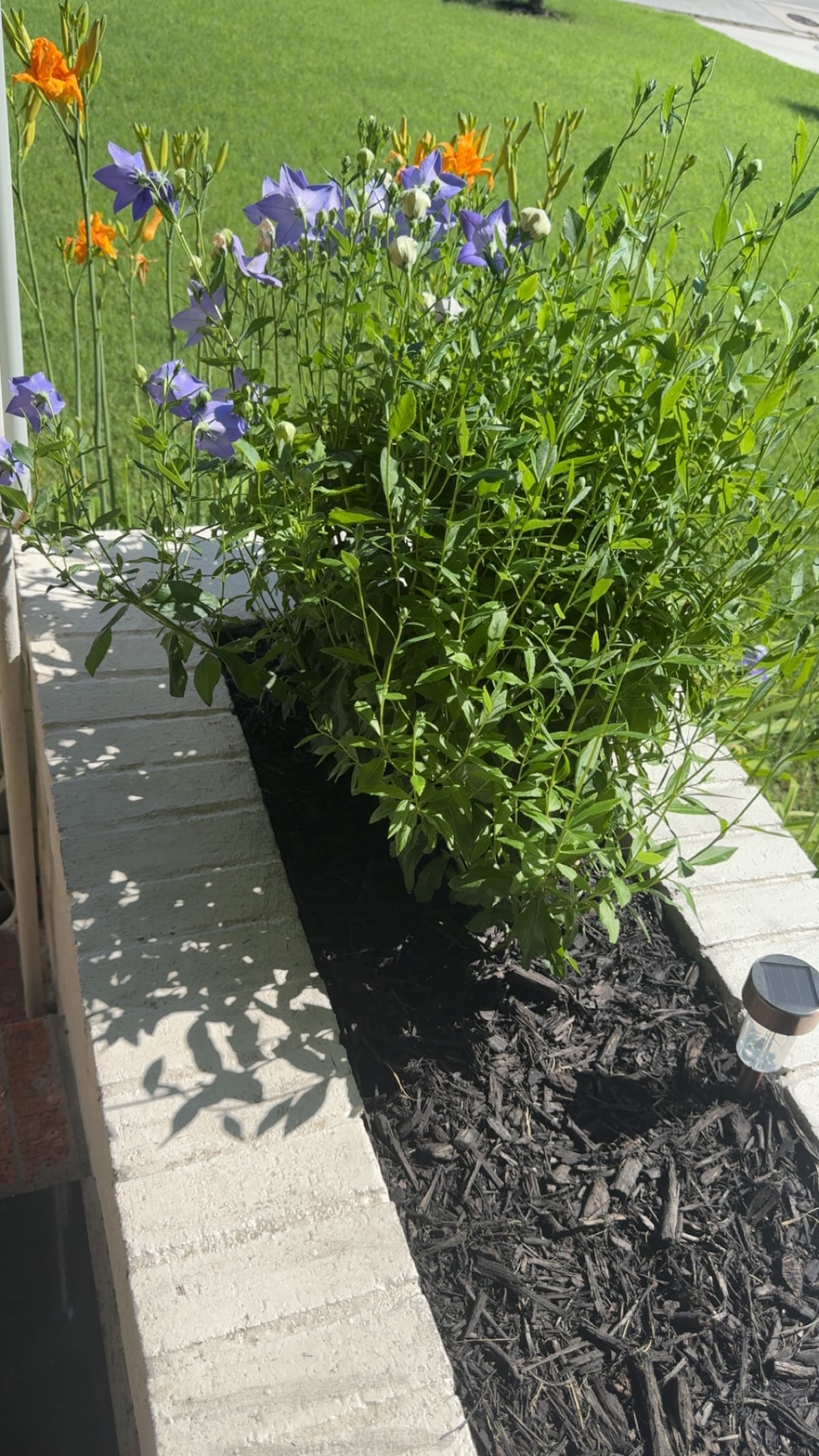 FTW  Home Remote WorkPlace Long Term Mhly Discount image 67