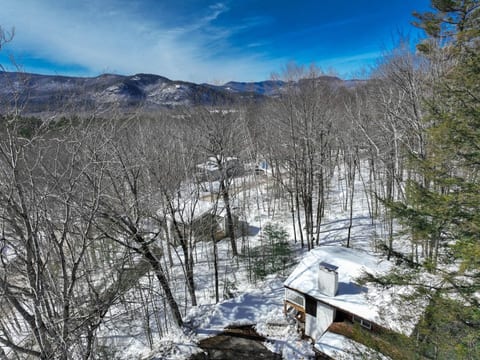 Maple View | Modern White Mountain Retreat
