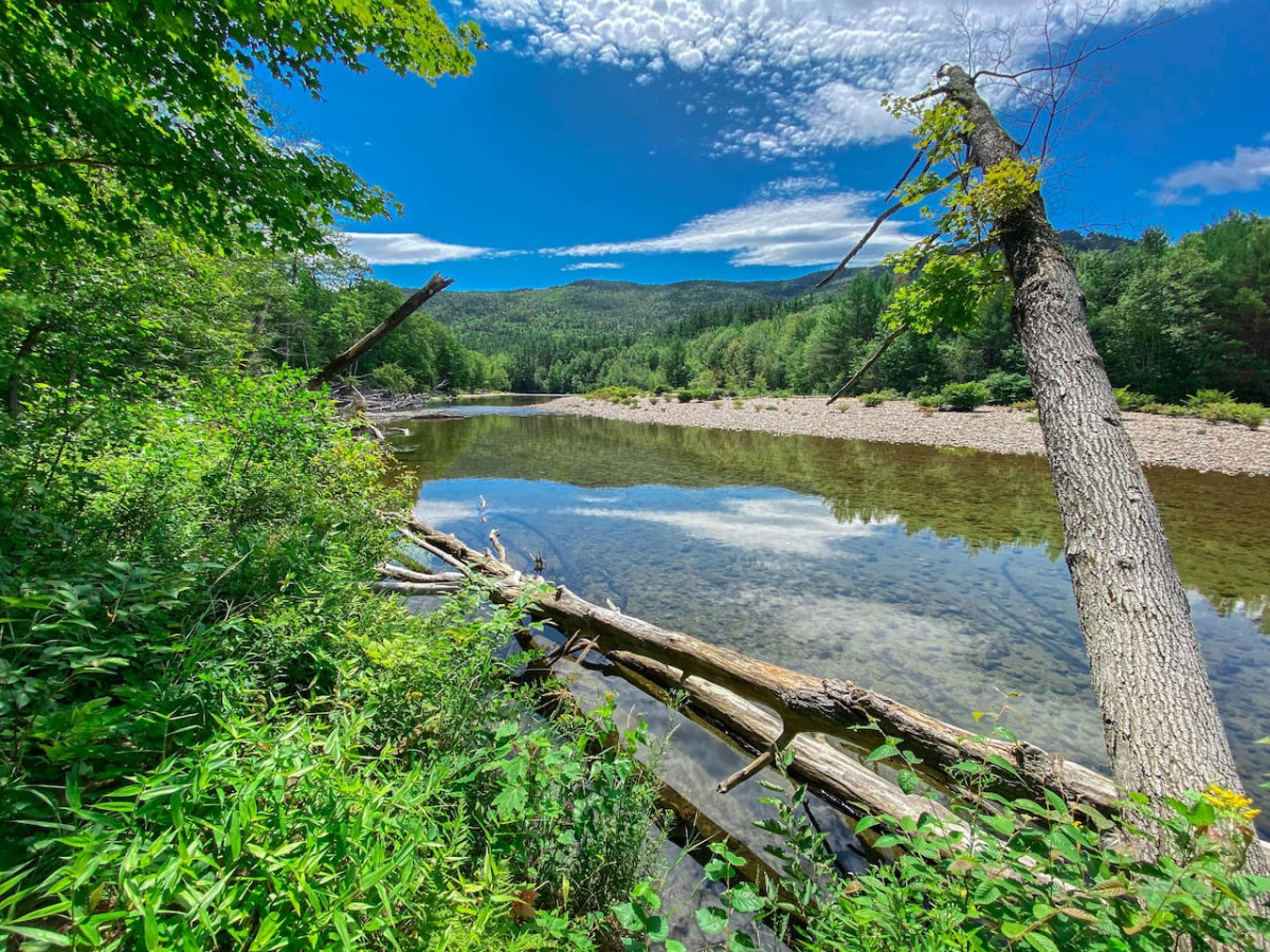 Walker Mtn. House | Walk to River | 2 Main Suites