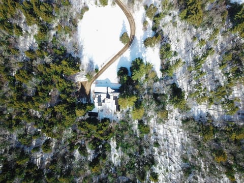 The Historic Wolfville Mountain Home | Sleeps 25