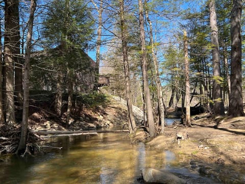 Rocky River Escape | Bartlett| Relax on the River!