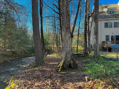 Hawk Hideaway | Incredible Location | Fireplace
