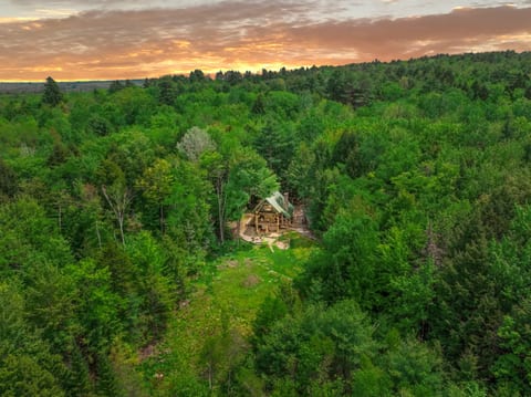 Pine Haven | Peaceful Nature Retreat on 10 Acres