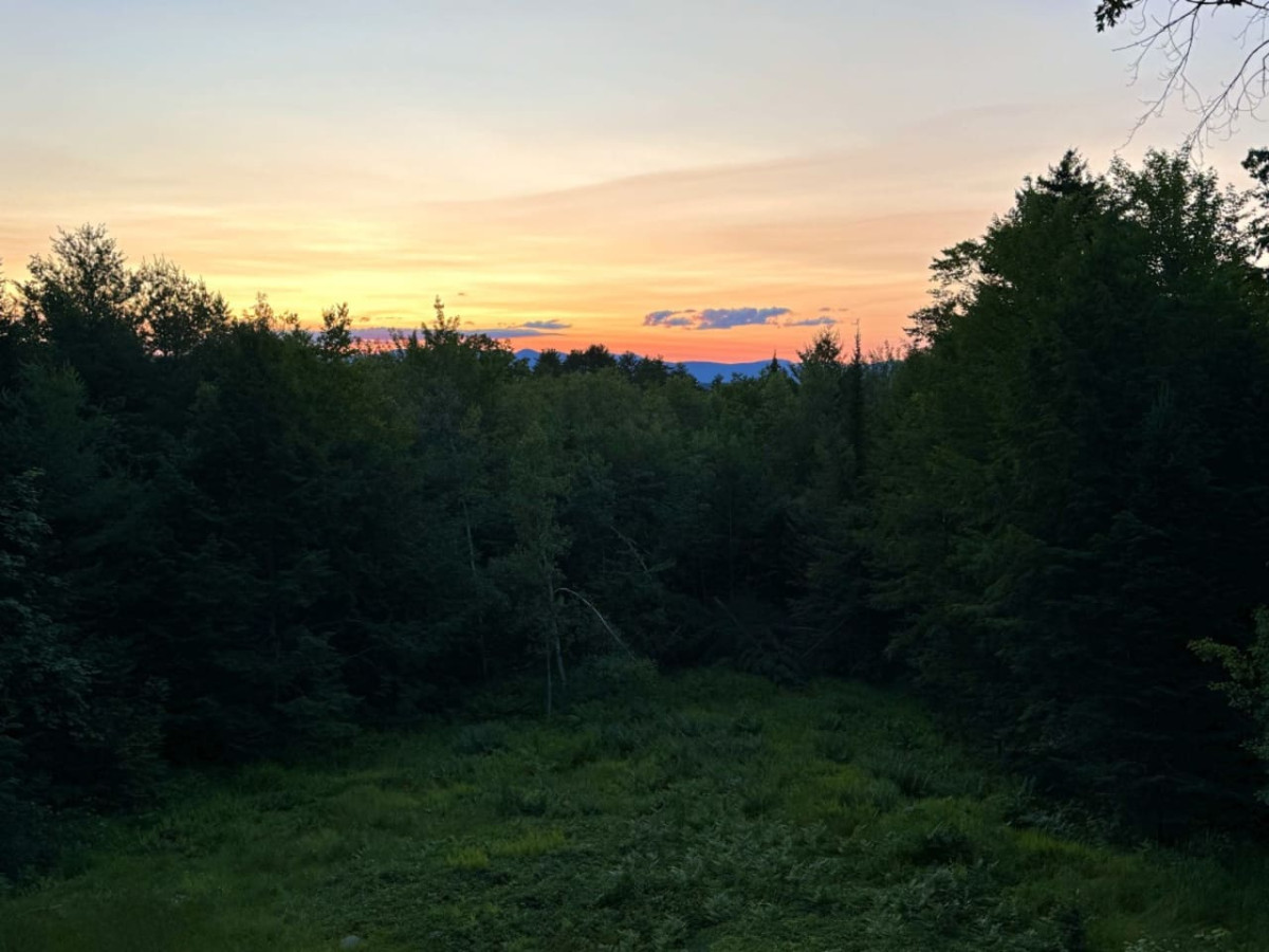 Pine Haven | Peaceful Nature Retreat on 10 Acres - Sweden