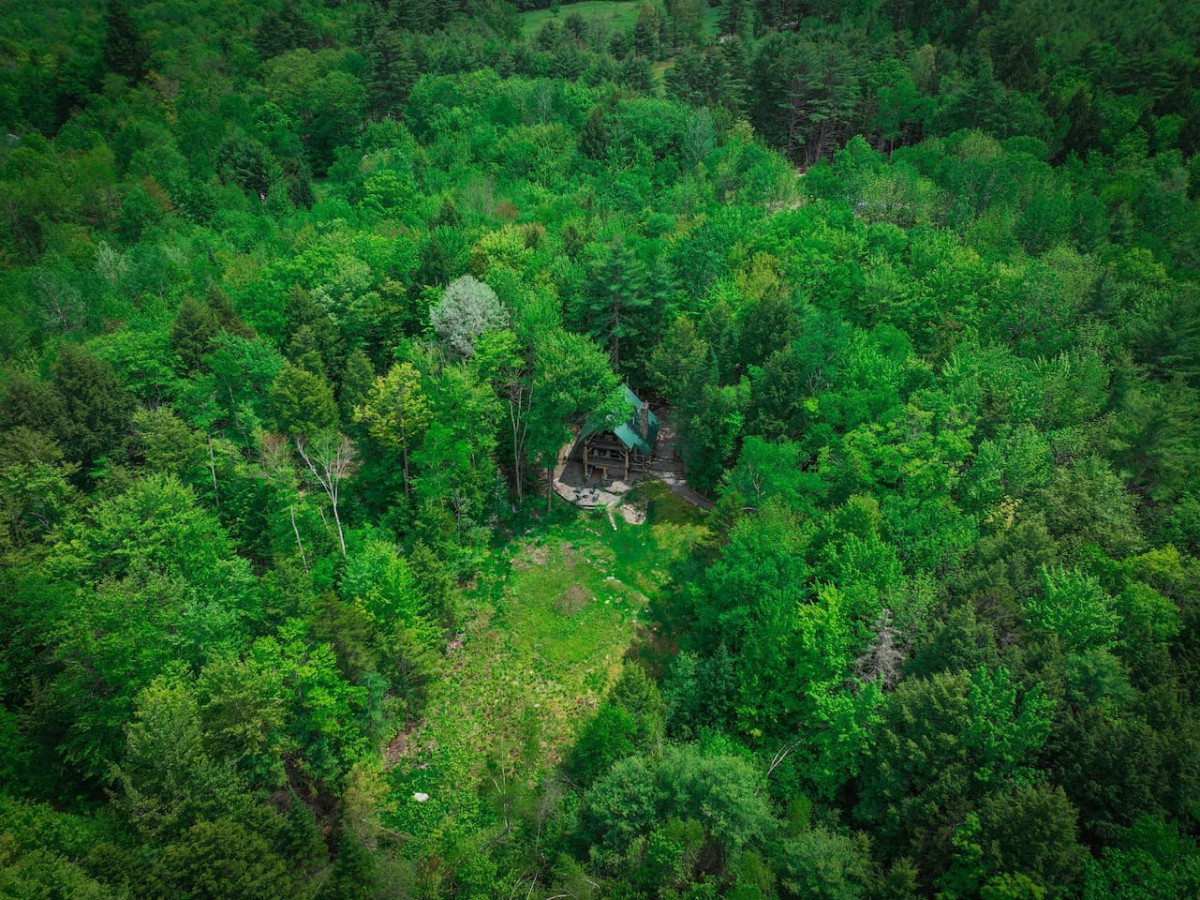 Pine Haven | Peaceful Nature Retreat on 10 Acres - Sweden