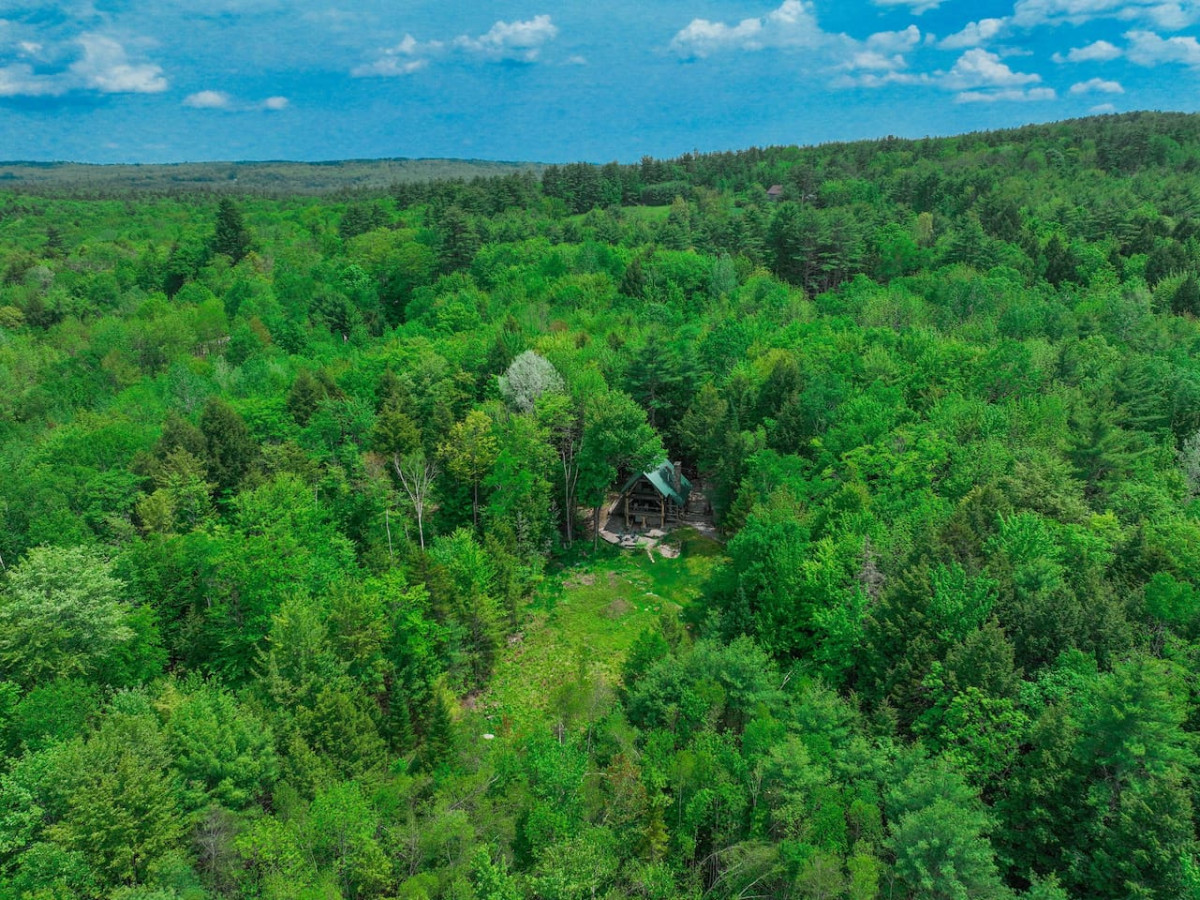 Pine Haven | Peaceful Nature Retreat on 10 Acres - Sweden