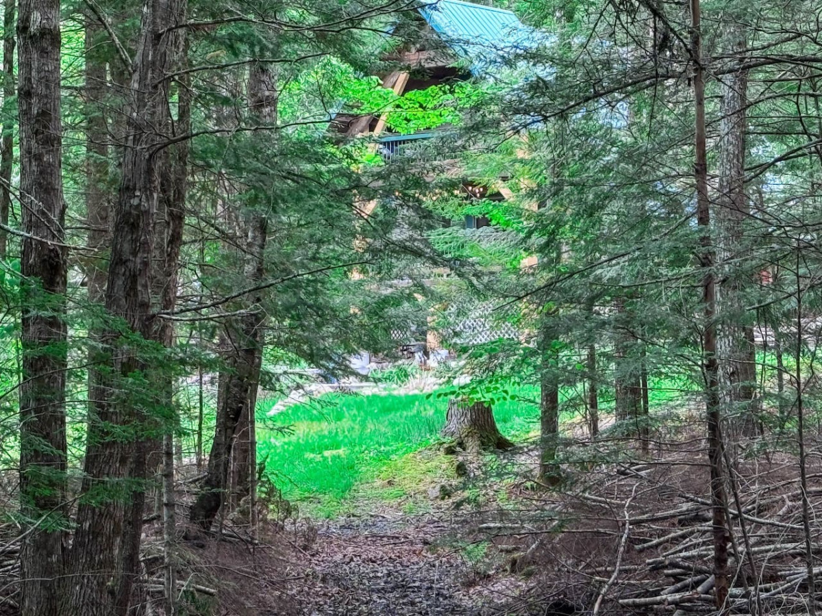 Pine Haven | Peaceful Nature Retreat on 10 Acres - Sweden